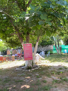 Mandalina Camping Beldibi Yerel İşletme fotoğrafı 4